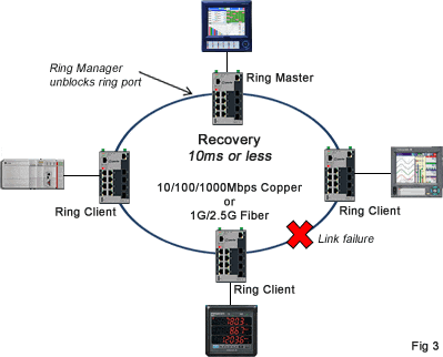 Ring Link Failure Recovery