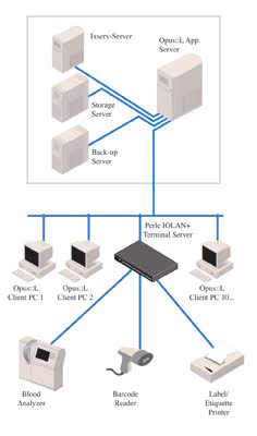 Terminal Servers distribute lab data diagram