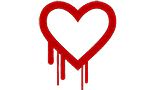 Heartbleed bug